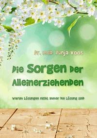 Die Sorgen der Alleinerziehenden - Dr. med. Dunja Voos - E-Book