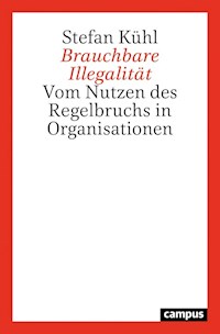 Brauchbare Illegalität - Stefan Kühl - E-Book