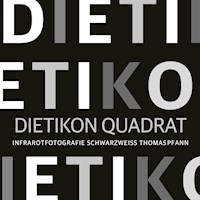 Dietikon Quadrat - Thomas Pfann - E-Book