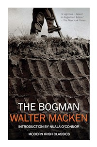 The Bogman - Walter Macken - E-Book