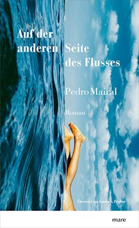 Auf der anderen Seite des Flusses - Pedro Mairal - E-Book