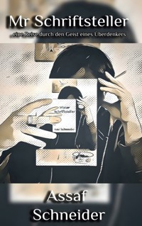 Mr. Schriftsteller - Assaf Schneider - E-Book