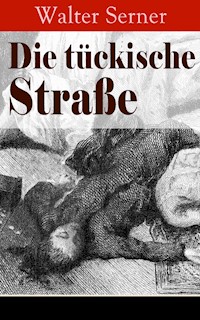 Die tückische Straße - Walter Serner - E-Book