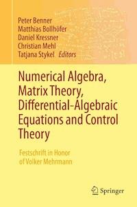 Numerical Algebra, Matrix Theory, Differential-Algebraic Equations and Control Theory - - E-Book