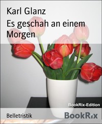 Es geschah an einem Morgen - karl glanz - E-Book