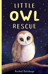 Little Owl Rescue - Rachel Delahaye - E-Book