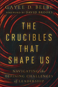 The Crucibles That Shape Us - Gayle D. Beebe - E-Book