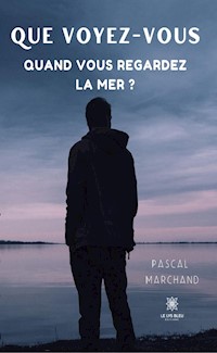 Que voyez-vous quand vous regardez la mer ? - Pascal Marchand - E-Book