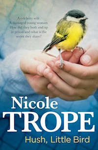 Hush Little Bird - Nicole Trope - E-Book