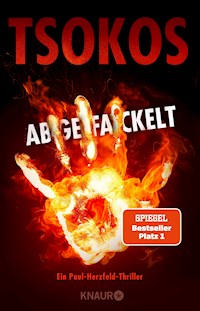 Abgefackelt - Prof. Dr. Michael Tsokos - E-Book