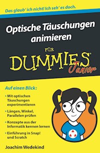Optische Täuschungen animieren für Dummies Junior - Joachim Wedekind - E-Book