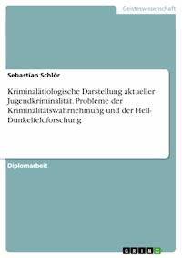 Kriminalätiologische Darstellung aktueller Jugendkriminalität. Probleme der Kriminalitätswahrnehmung und der Hell- Dunkelfeldforschung - Sebastian Schlör - E-Book