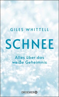 Schnee - Giles Whittell - E-Book