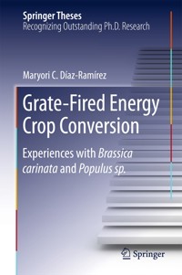 Grate-Fired Energy Crop Conversion - Maryori C. Díaz-Ramírez - E-Book