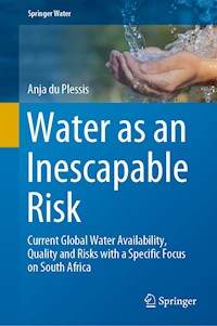 Water as an Inescapable Risk - Anja du Plessis - E-Book
