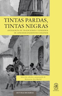 Tintas pardas, tintas negras - Montserrat Arre Marfull - E-Book