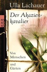Der Akazienkavalier - Ulla Lachauer - E-Book