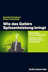 Wie das Gehirn Spitzenleistung bringt - Karolien Notebaert - E-Book