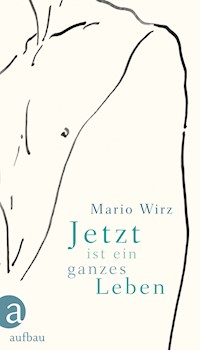 Jetzt ist ein ganzes Leben - Mario Wirz - E-Book