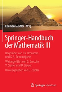Springer-Handbuch der Mathematik III -  - E-Book
