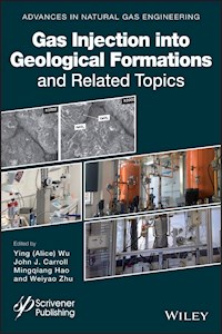 Gas Injection into Geological Formations and Related Topics - John J. Carroll - E-Book
