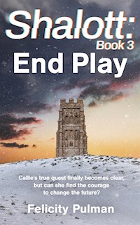 Shalott: End Play - Felicity Pulman - E-Book