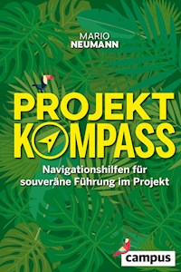 Projekt-Kompass - Mario Neumann - E-Book