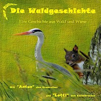 Die Waldgeschichte - Jan Müller - Hörbuch