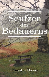 Seufzer des Bedauerns - Christin David - E-Book