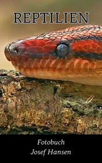 Reptilien - Josef Hansen - E-Book