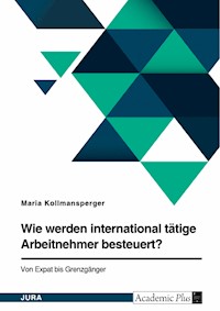 Wie werden international tätige Arbeitnehmer besteuert? Von Expat bis Grenzgänger - Maria Kollmansperger - E-Book