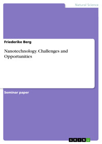 Nanotechnology. Challenges and Opportunities - Friederike Berg - E-Book