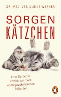 Sorgenkätzchen - Ulrike Werner - E-Book