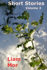 Short Stories Volume 3 - Liam Mor - E-Book