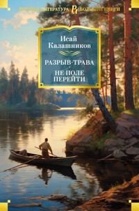 Разрыв-трава. Не поле перейти - Исай Калашников - E-Book