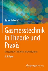 Gasmesstechnik in Theorie und Praxis - Gerhard Wiegleb - E-Book