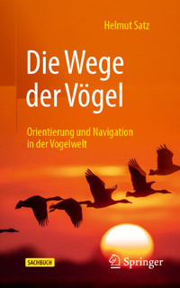 Die Wege der Vögel - Helmut Satz - E-Book