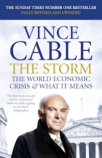 The Storm - Vince Cable - E-Book