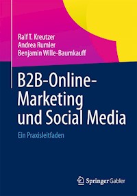B2B-Online-Marketing und Social Media - Ralf T Kreutzer - E-Book