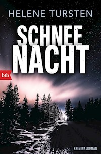 Schneenacht - Helene Tursten - E-Book