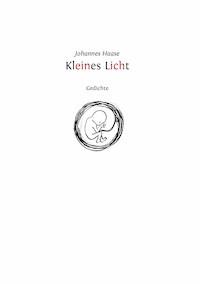 Kleines Licht - Johannes Haase - E-Book