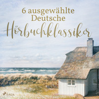 6 ausgewählte Deutsche Hörbuchklassiker - Theodor Storm - Hörbuch