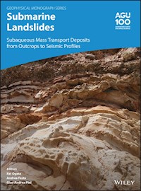 Submarine Landslides -  - E-Book