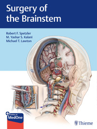 Surgery of the Brainstem -  - E-Book