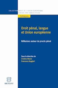 Droit pénal, langue et Union européenne -  - E-Book