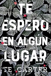 Te espero en algún lugar - TE Carter - E-Book