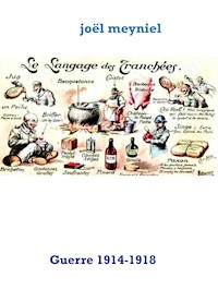 vocabulaire des tranchées - Joel Meyniel - E-Book