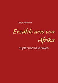 Erzähle was von Afrika - Oskar Steinmair - E-Book