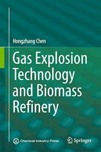 Gas Explosion Technology and Biomass Refinery - Hongzhang Chen - E-Book