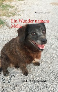 Ein Wunder namens Molla - Alexander Lassalle - E-Book